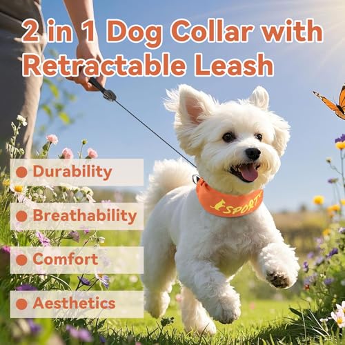 NAMSAN 2-in-1-Hundehalsband mit Rollleine Leine Verstellbares Hundehalsband Eingebaut Ausziehbar Hundeleine mit Griff für Kleine und Mittlere Hunderassen