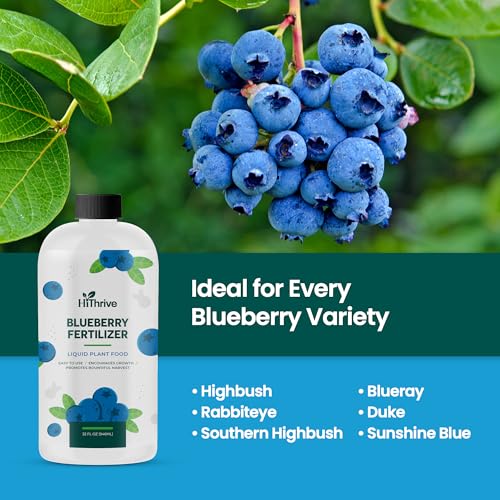 Fertilizante Líquido Blueberry de 32 oz para Plantas de Arándanos miniatura 5