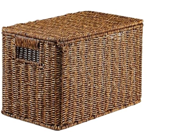 Boîte de rangement 36x22x24 cm pour placard et cuisine