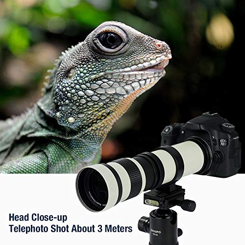 TYCKA 420-800mm f/8.3 DSLR Camera Lens Ultra-Telephoto Lens Manual Zoom Shooting The Moon and Bird Telescope SLR Lens for Canon T-Mount EOS Rebel T3-T7i SL1 SL2 5D-7D 60D-80D II/III/IV - Thumbnail 4