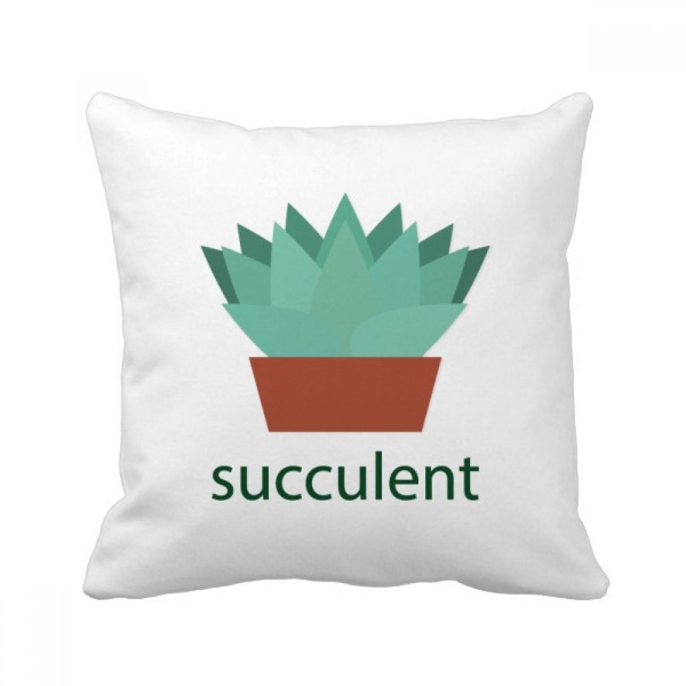 Coussin oreiller de projection cactus plante verte pour creer un coin lecture cosy au salon
