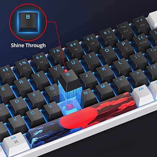 Image of 60 Percent Gaming Keyboard 68 Keys Mechanical Keyboard LED Backlit Compact Wired Keyboard with Red Switch for Windows PS4 /5 Xbox Gamer(White-Black)