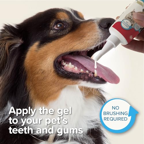 Beaphar - No-Brush Toothgel with Enzymes - Dental Care for Cats & Dogs - Helps Control Plaque and Tartar, and Freshen Breath - Fluoride-Free - Liver Flavour - No Brushing Required - 100g Tube - Image 6