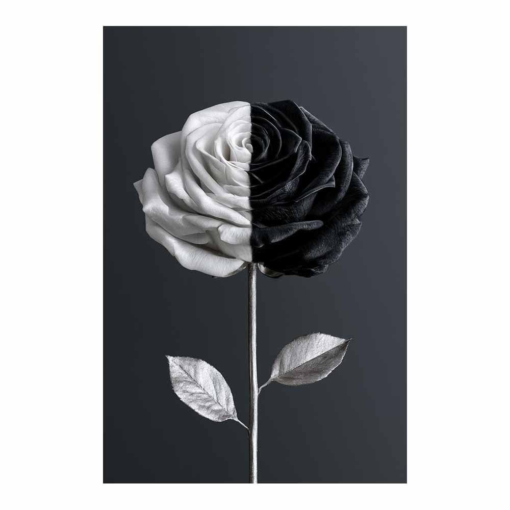 HOQIU Black And White Pictures Split Black Whites Ros canvas wall art, decorative paintings, for Bedroom Living Room Bathroom Office Home Decoration(Multicolor)-80x120cm Unframed