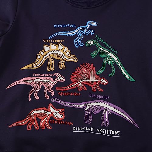 Boys Girls Hoodies Toddler Boys Sweatshirts Print Patterned Long Sleeve Pullover Crewneck Tops for (Pink, 2-3 Years)2