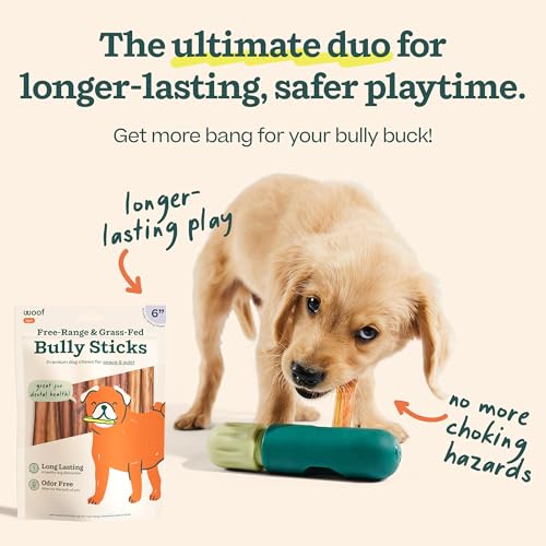 WOOF BullySafe e Bully Sticks – Bastões de mastigar nutritivos para cães e suporte de bastão para br