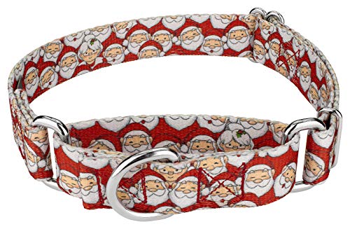 Country Brook Petz - Where's Merry Martingale Dog Collar - Christmas Collection Featuring Festive Designs (1 Inch, Medium)