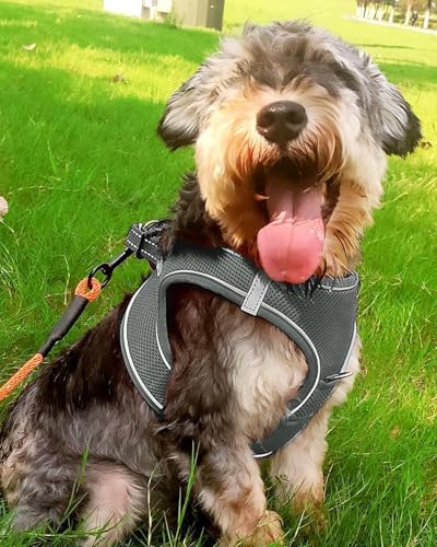 Joytale Hundegeschirr, Reflektierend Weich Gepolstert Hunde Geschirr, Air-Mesh Atmungsaktiv Brustgeschirr für Kleine Mittelgroße Hunde, L, Grau
