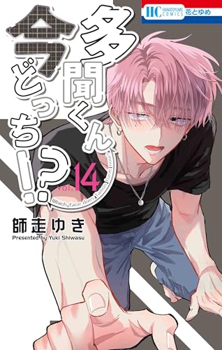 多聞くん今どっち!? 14 (花とゆめコミックス)