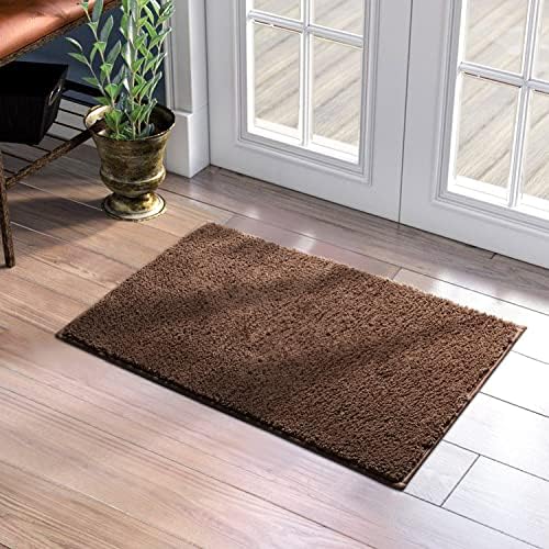 HOMEIDEAS Door Mats Indoor, 17