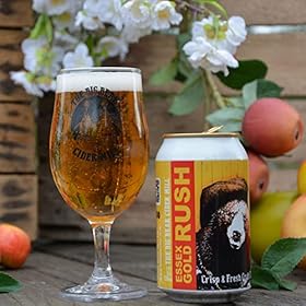 Buy THE BIG BEAR CIDER MILL Essex Gold Rush Cider (24 Pack) – Refreshing Sparkling Apple Cider with a Crisp, Golden Flavor – 24 x 330ml Cans at 4.8% ABV – The Big Bear Cider Mill