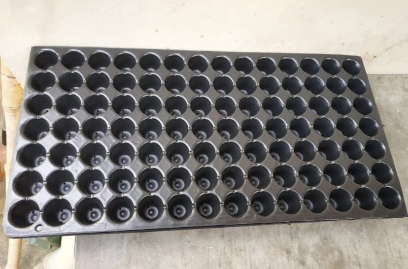 RADHA KRISHNA AGRICULTURE® Reusable Plastic Seedling Protray 98 Cavity Holes or Cells | Germination Nursery Tray for Garden | Mini Pots for Outdoor & Indoor Gardening | (0.8 MM Cups, 10 pcs, Black)