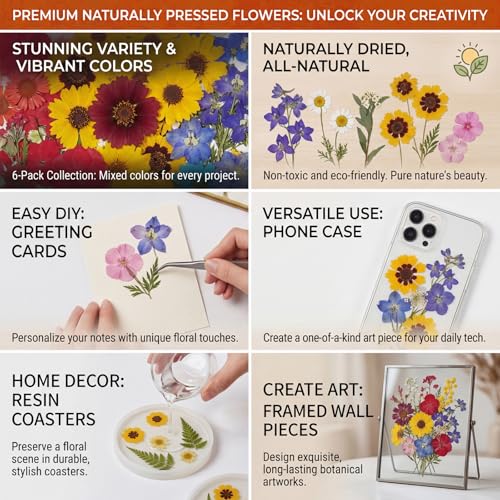 Image of Dried Flowers for Resin, 106pcs Natural Flowers and Leaves Compressed