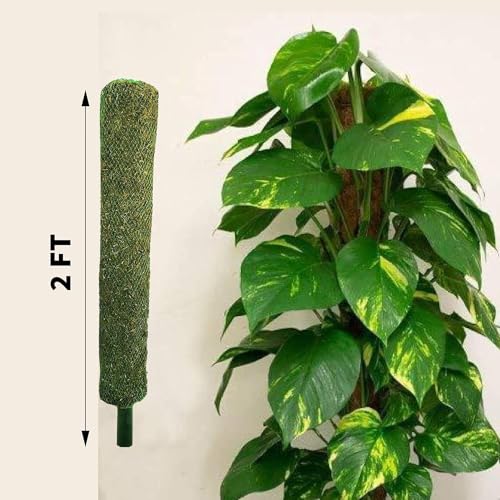 Image of Eaglesfords Plant Support Moss Stick - Green Grass Pole for Indoor Climbing Plants, Set of 4 (2ft)