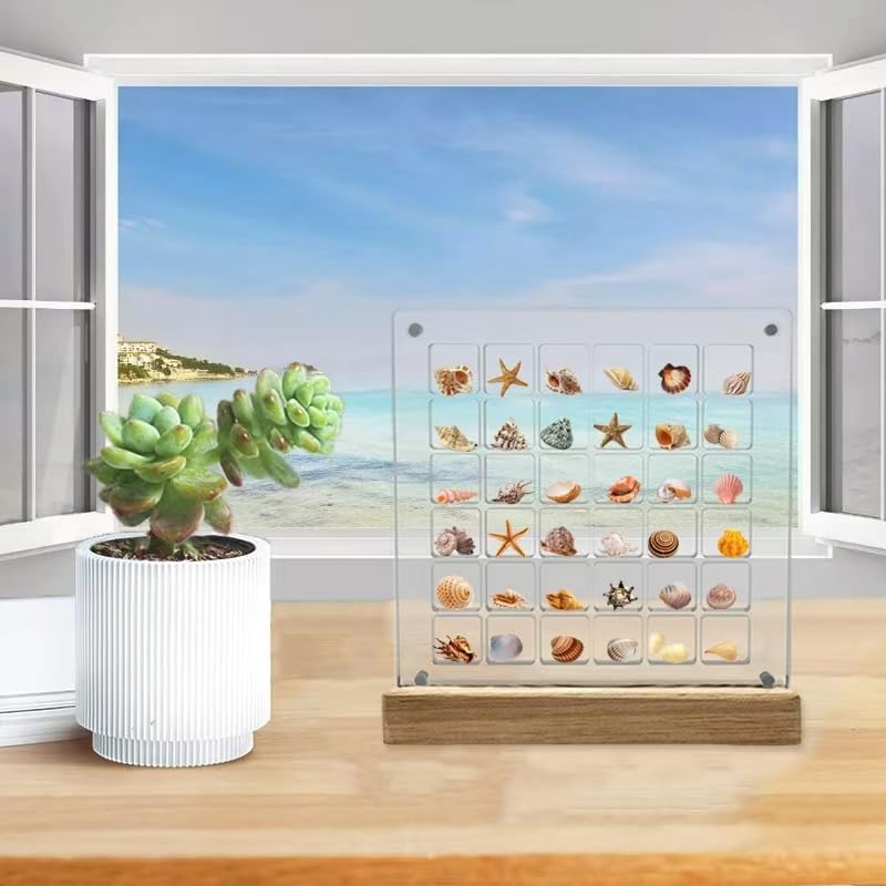 Acrylic Magnetic Seashell Display Box, Seashell Collection Box and Jewellery Display Box, Collection of Seashells for Display, Small Crafts Storage containers (36grids, Square), Transparent