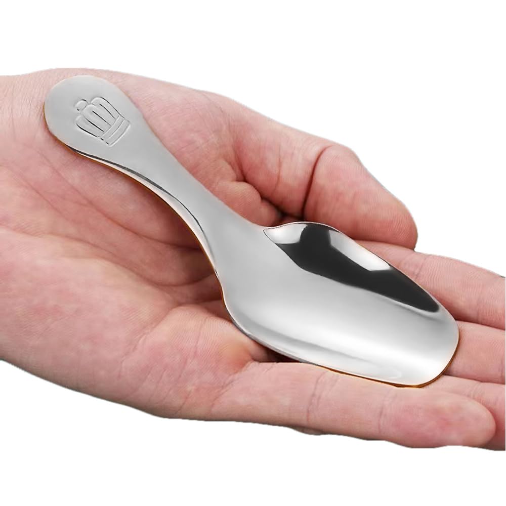 2 Pcs Small Dessert Spoon Stainless Steel Mini Spoons Short Handle Spoons for Salt, Dessert, Sugar, Coffee, Tea, Sugar, Honey, Spice, Ice Cream, Candy, Fit in Canisters (Silver)