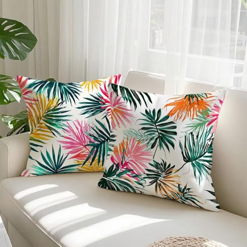 Housse Coussin Velours Orange Imperméable Double Face Lot de 2 Résistant