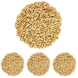 Bongiovanni Bontà Naturali 1 kg d'avoine décortiquée biologique (Lot de 4)...