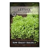 Sow Right Seeds - Salad Bowl Green Leaf Lettuce Seeds for Planting - Non-GMO Heirloom Packet with Instructions to Plant a Home Vegetable Garden - Outdoors or Hydroponics Indoors - Frilly Leaves (1)