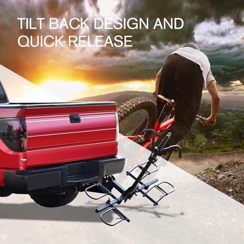 Young Electric 10104095 Young 200 Lb 2-Bike Rack Hitch Mount Platform Style thumb #2