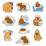 【Large Application】Les Broches et Pins pour Femme Filles peuvent être utilisées pour décorer des vêtements, des robes, des t-shirts, des chapeaux, des écharpes, des sacs en toile, des sacs à dos, des casquettes, etc. Ils ajouteront une touche de mignonne à votre tenue.