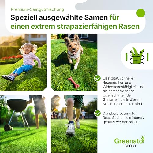 Sport und Spielrasen Greenato Sport Rasensamen 25 kg – Turbo Rasensamen schnellkeimend ideal für Rasenerde Grassamen für Neuansaat und Nachsaat extra robust Unkrautvernichter Rasen - für 1000 m²