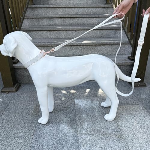 Dog Leash Details and Hardware