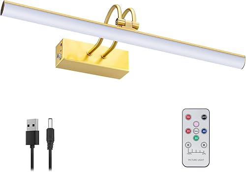 Luz de imagen a pilas con control remoto, luces de imagen inalámbricas para pinturas con temporizador y regulable, luz artística de 16 pulgadas para