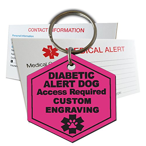 Diabetic Alert Service Dog Identification Tag Custom Engraved Hexagon Plastic - Ribbon Pink - Small