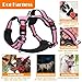 LOBEVE No Pull Dog Harness, Collar & Leash Set | Includes Dog Seat Belt, Collapsible Bowls & Poop Bag Dispenser. Ideal for Training, Walking, Hiking. Fits Small to Large Dogs(Pink-M)