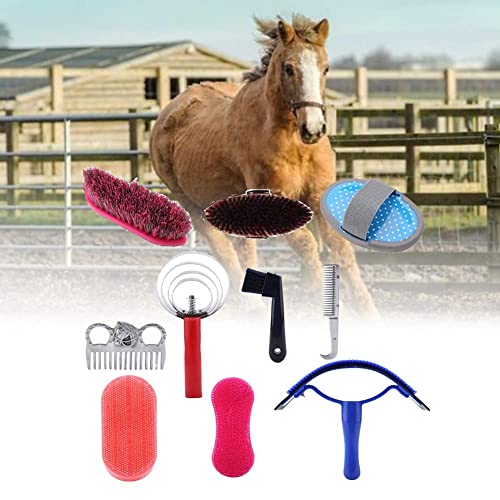 List Of Top 5 Best Horse Grooming Tools Available In 2023 Pet Growler