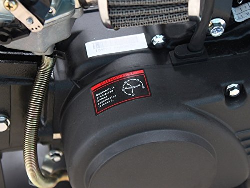 Taotao Db17 125Cc Dirt Bike For Kids Cheap Dirt Bikes For Sale Orange #TOP3