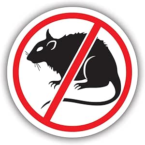 Amazon.com: fagraphix No Rats Sticker Decal - Self Adhesive Vinyl ...