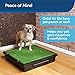 PetSafe Pet Loo Portable Dog Potty - Pet Toilet Alternative for Puppy Pads - Small - Perfect for House Training - Easy-to-Clean Grass Mat