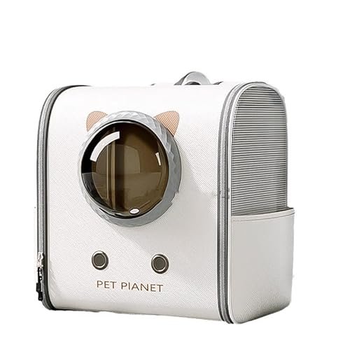 MomglaL bN ybgL[ obO ybgL [obO e ^ ܂ 2ނ̑t ʋC s ʉ@ h (^F20҈ȓ)