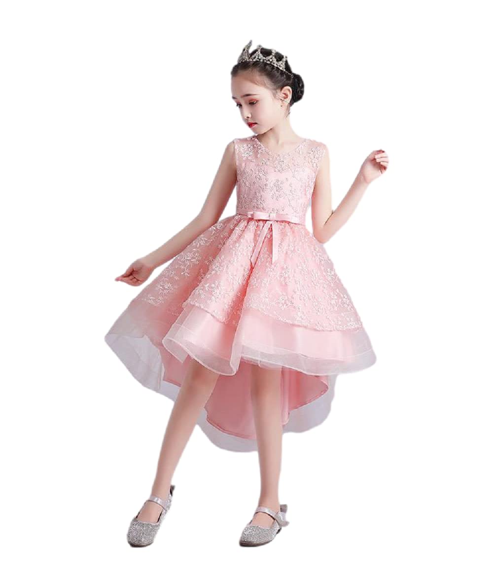 Best Gift Fashion3D Embroidered Flowers Princess Lace Dress for Girls Birthday Party Prom Girl's Special Occasion Performances Host Evening Gown