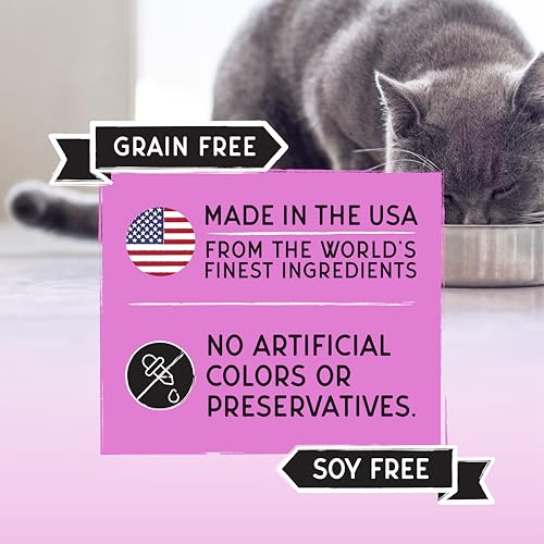Image of Blackwood Bounty Dry Cat Food, Red Meat Recipe for All Life Stages, 2 Pound Bag, High Protein, Grain Free