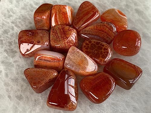 Image of GAF TREASURES 1 /2 LB Fire Agate Tumbled Stones, Polished Fire Agate Gemstone, Fire Agate Healing Crystals (Fire Agate)