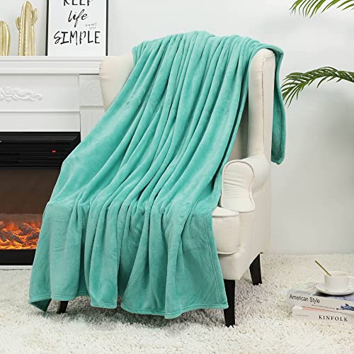 Image of NANPIPER Fleece Blankets Super Soft Flannel Queen Size Blanket for Bed Luxury Cozy Microfiber Plush Fuzzy Blanket,Lake Blue