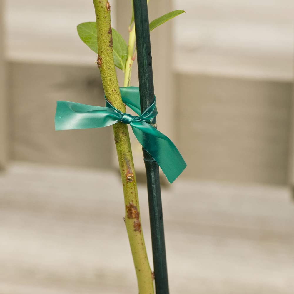 Gardener's Blue Ribbon 1800-in Plant Ties in the Plant Ties department at