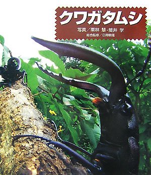 クワガタムシ―ドキドキ!生きもの発見〈2〉 (ドキドキ!生きもの発見 2)