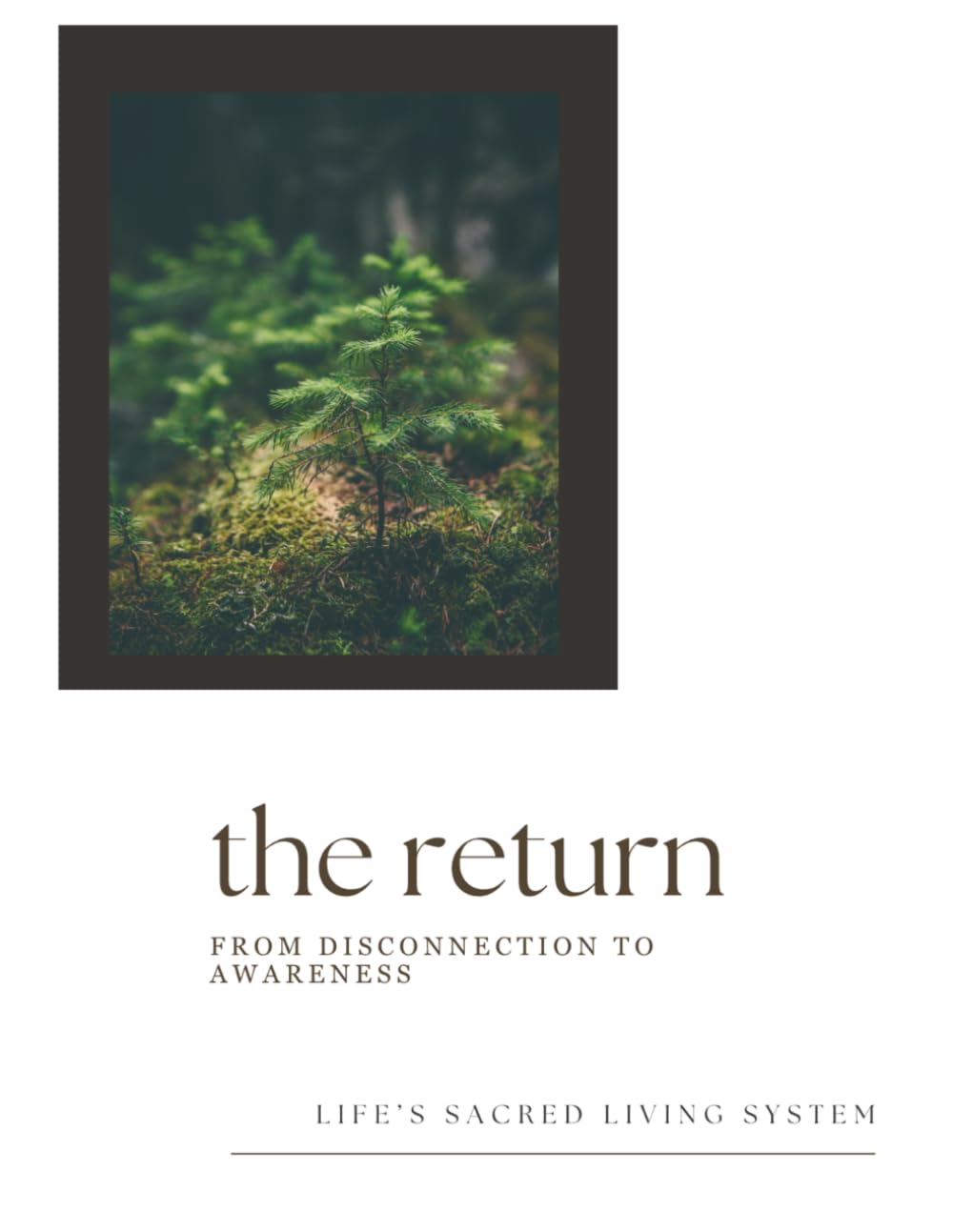 The Return: From Disconnect to Awareness (Field Companions)
