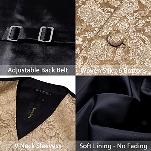 Image of Barry.Wang Men's Suit Vest Formal /Leisure Paisley Jacquard Silk Tie Pocket Square Waistcoat Set Wedding 5PCS