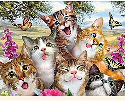 Canevas kit complet,Chat qui aime prendre des photos,11CT adulte kit canevas complet avec fils,debutant broderie point de croix imprimé,40x50cm