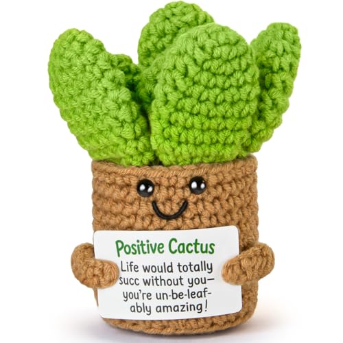 Emotional Support Crochet, Positive Crochet Cactus, Encouragement Gifts for Women Men Birthday Christmas Self Care Friends Coworkers Relaxation Gift D
