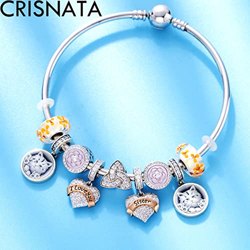 Cuentas de cinta de oro rosa de corazón familiar para pulsera de plata 4