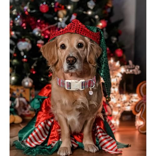 Image of Christmas Plaid Dog Collar, Red and Blue Check Adjustable Pet Collar with Quick Release, Christmas Stripes Collar for Small Medium Large Dogs M