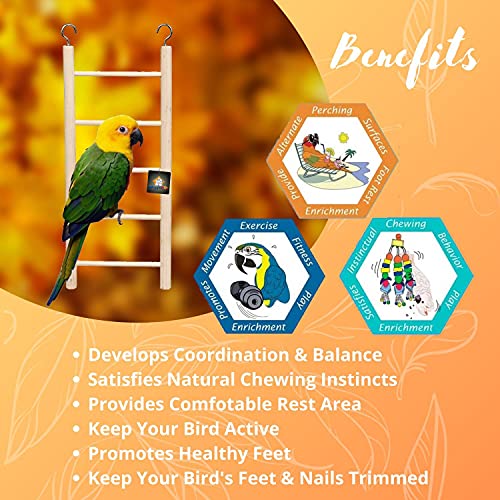 Image of Natural Wooden Ladder Bird Toy | Climbing, Exercise & Fun | for Small & Medium Birds (5 Step)