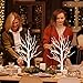 PEIDUO Christmas Decorations Indoor, 2 FT Birch Tree with LED Lights, Fairy Light Spirit Tree for Christmas Decor, Warm White Lighted Birch Trees for Home Decor Indoor, Battery Powered, Timer (2PK)