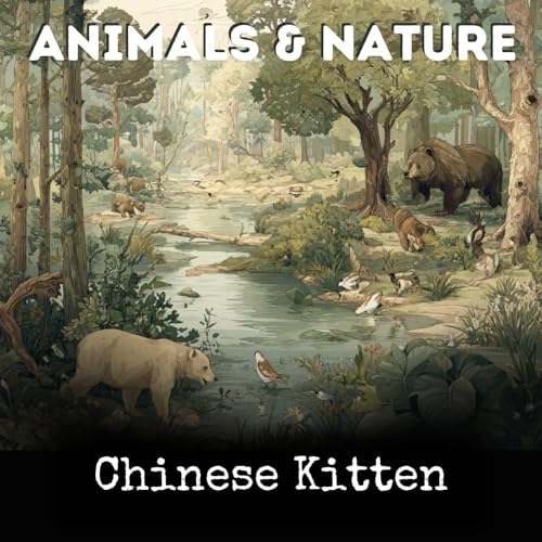 『Chinese Kitten』のカバーアート